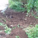 입석농장 이미지