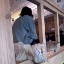 다락방고양이 | [서울/신촌] 힐링 데이트 '고양이 다락방' 신촌점 방문 후기