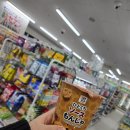 동경약품 | 동경 자유여행 긴자 쇼핑 GU신발 가방, 유니클로, 약국쇼핑