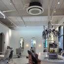 용준 | 성수 미용실 추천 메이원헤어 성수점 남자 머리 맛집_ 용준 디자이너_솔직후기