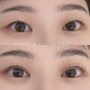 늘고운 | 대전 관저동 속눈썹펌 맛집 늘고운피부 속쌍 솔직후기