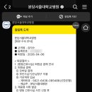 분당-190 | 타석증 분당서울대병원 당일수술센터 이비인후과 수술 후기