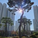 운정산내공인중개사사무소 이미지