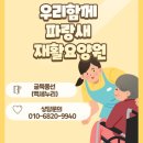파랑새노인건강센터 | 맞춤형 노인 인지 프로그램, 백세누리 우리함께 파랑새 재활요양원_굴뚝 풍선 날리기