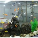 꽃가람노인전문요양원 이미지