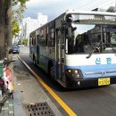 하단1동-11 이미지