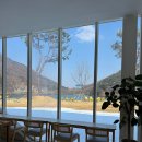 쑥부쟁이(용산저수지)둘레길 | 충북 음성카페 유리원 앞 용산저수지 둘레길 산책한바퀴