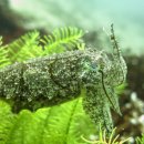 힐포인트 이미지