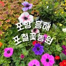 포철꽃농원 이미지