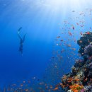 KS 행정사 사무소 이미지