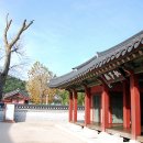 수원-1798 네이버블로그