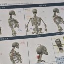 메디앤메디 | [옥수동 필라테스] 체형분석 꼼꼼한 옥수역 필라테스, 메디앤컬필라테스 옥수점 후기