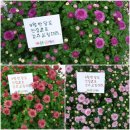 와이비엠잉글루스마트해법수학학원