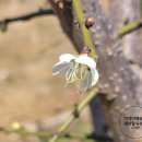 청천농산 네이버블로그