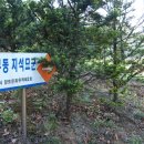 선부동 지석묘군 이미지