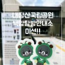 오피먼트(orpiment) | 백암! 청년 비다니의 꿈을 찾아 떠나는 여행 / 아이들과 미션 수행 / 백양사 오피먼트 orpiment 카페 굿즈