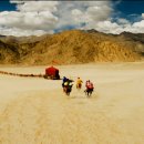 영화로운스테이 이미지