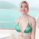 피싱소다 이미지
