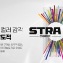올마이틴팅