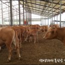 정호진농장 이미지