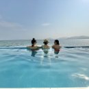 맘스터치스포츠파크점 이미지