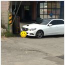맘모스세차장 이미지