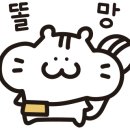 신포니아음악학원 네이버블로그