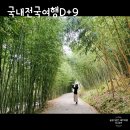 대호모텔 | [국내여행D+9] 부산나들이 팔도시장 맛집 부산기장 아홉산숲 휴게소맛집 외동휴게소 경주감포 숙소