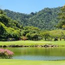 넥서스그린 이미지