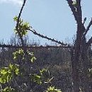 내덕농장 이미지