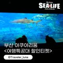 부산 아쿠아리움 현장 할인 여행특공대 티켓 가격 + 주차 공연시간