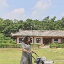 강아지유모차 버디두기 라이더핏츠 두달차 후기