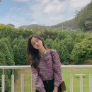 체리코코 - 포항시 남구 유강길9번길 62 | 체리코코