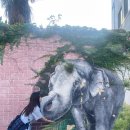 강정동-54 | 24년 8월 제주여행