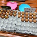 고양스파24시불한증막사우나 이미지