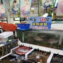 윤희네 집 이미지