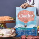 디비에스 주식회사 이미지