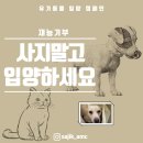 지영 농장 | [재능기부] 부산시 보호소 안락사 구조견 건강검진 후원 [연제구 동물병원]