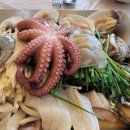 생선예찬 | 전라도 여수 맛집 엑스포해물예찬