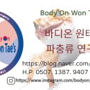 뉴바디 연구소