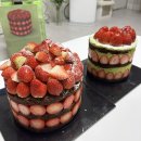 태산체육관 | 임신일기 #21) 29주-31주 반려견 동반 만삭사진촬영 입체초음파 제왕절개날짜 잡기 일상후기