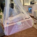 분당-105 이미지