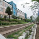 금천중고등학교