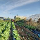 해뜬농장 이미지