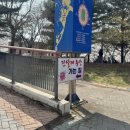 도채가비 | 2026 부천 원미산 진달래 축제 아이랑 방문 후기(주차,체험부스,먹을거리 등)
