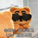 어쩌다제주 이미지