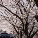 구례 지리산 리조트 이미지