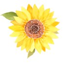 각남면사무소 이미지