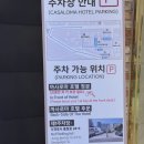 까사로마 | 제주 서귀포 호텔 수영장 추천 까사로마호텔 내돈내산 후기