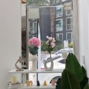 카페제드 네이버블로그